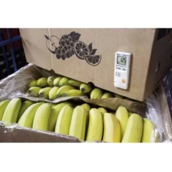 Testo 0572 1842 184 T2 Enregistreur De Données De Température Valeur De Mesure Température -35 à +70 °C -Promos Brico Forte Boutique 4416208 3