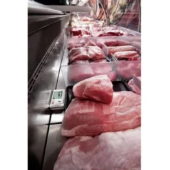 Testo 0572 1754 175 H1 Enregistreur De Données Dhumidité Valeur De Mesure Température, Humidité De Lair -20 à +55 °C 0 -Promos Brico Forte Boutique 4485700 4