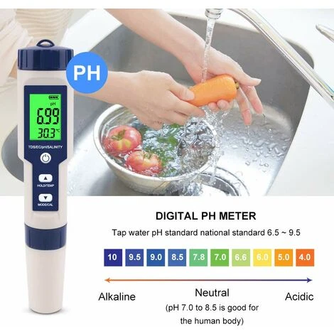 PH-Mètre, Testeur PH Mètre 5 En 1 PH/TDS/EC/ORP/Tempmètre, Testeur De Moniteur De Qualité De L'eau Pour Piscines, Culture Hydroponique, Eau Potable, Aquariums 2 PH-Mètre, Testeur PH Mètre 5 En 1 PH/TDS/EC/ORP/Tempmètre, Testeur De Moniteur De Qualité De L'eau Pour Piscines, Culture Hydroponique, Eau Potable, Aquariums – Image 2