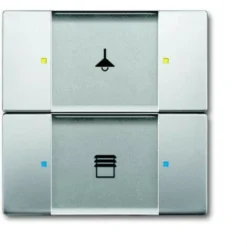 Poussoir 2 TouchesMultifonctions Acier Inox 2CKA006116A0213 ABB 587252