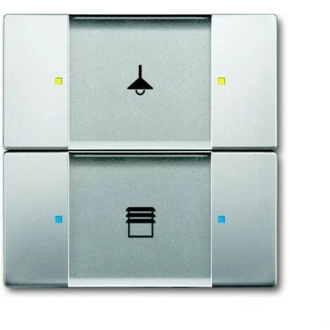 Poussoir 2 TouchesMultifonctions Acier Inox 2CKA006116A0213 ABB 587252 1 Poussoir 2 TouchesMultifonctions Acier Inox 2CKA006116A0213 ABB 587252