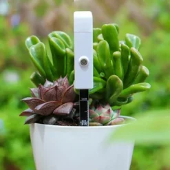 Detecteur D'humidite Du Sol, Rappel De Penurie D'eau Dans Les Plantes, Fonction De Rappel De Lumiere Clignotante, Pratique Et Rapide, Livre Avec Batterie -Promos Brico Forte Boutique 91464295 3